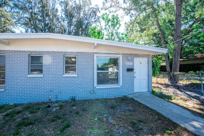 8707 N Mandarine Pl in Tampa, FL - Building Photo - Building Photo