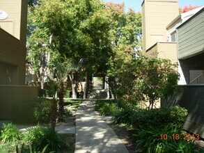 1019 Dornajo Way, Unit 220 in Sacramento, CA - Building Photo - Building Photo