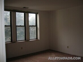 29 Brainerd Rd in Boston, MA - Building Photo - Building Photo