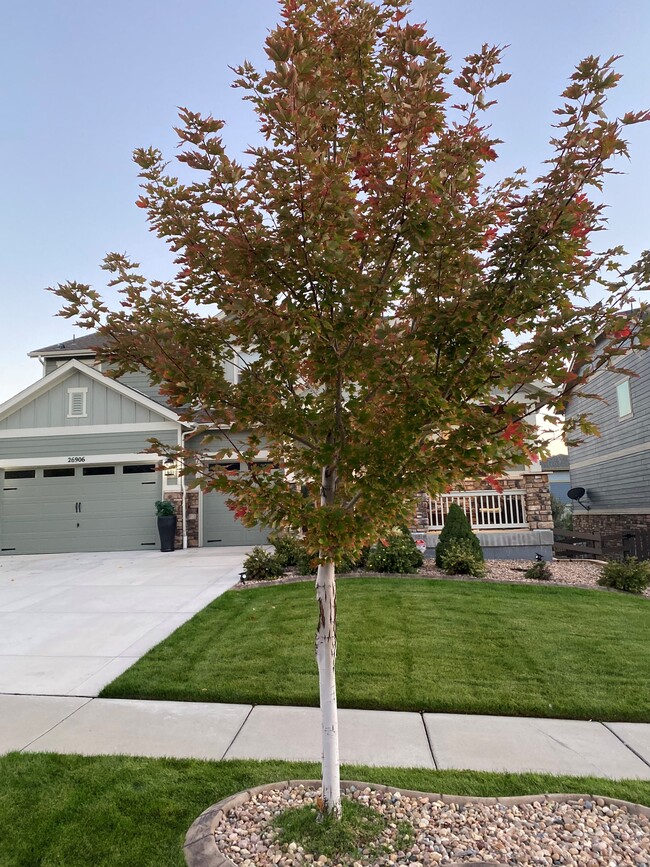 property at 26906 E Davies Pl