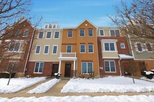 10604 Alice Mae Ct in Orland Park, IL - Building Photo
