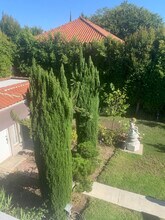 532 S Irving Blvd in Los Angeles, CA - Building Photo - Building Photo