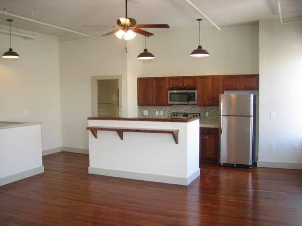 Ferrell Historic Lofts in Danville, VA - Building Photo - Building Photo