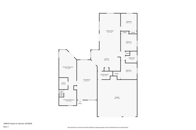 12890 N Carpas Ct in Marana, AZ - Building Photo - Building Photo