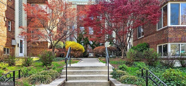 5407 9th St NW in Washington, DC - Building Photo - Building Photo