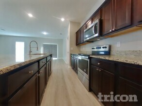 16435 Winding Blossom Dr in Groveland, FL - Building Photo - Building Photo