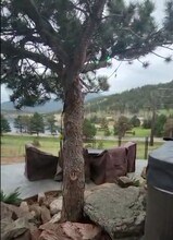 2100 Marys Lake Rd, Unit Upper Unit in Estes Park, CO - Building Photo - Building Photo