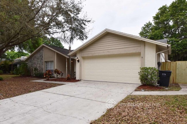 12325 Yellow Rose Cir in Riverview, FL - Foto de edificio - Building Photo