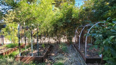 3116 San Carlos Way in Sacramento, CA - Foto de edificio - Building Photo