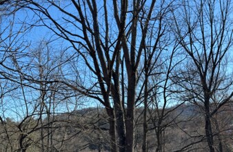 521 Pond Rd in Asheville, NC - Building Photo - Building Photo