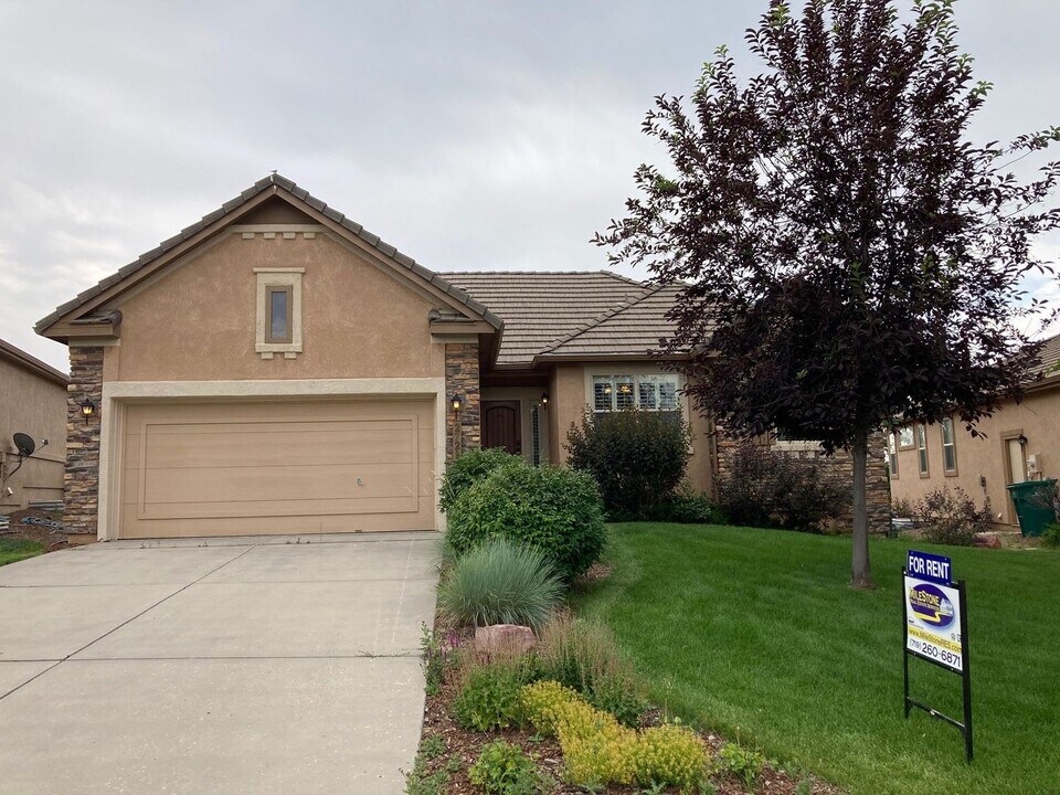 2732 Crooked Vine Ct in Colorado Springs, CO - Building Photo