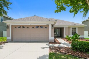 11601 Addison Chase Dr in Riverview, FL - Building Photo