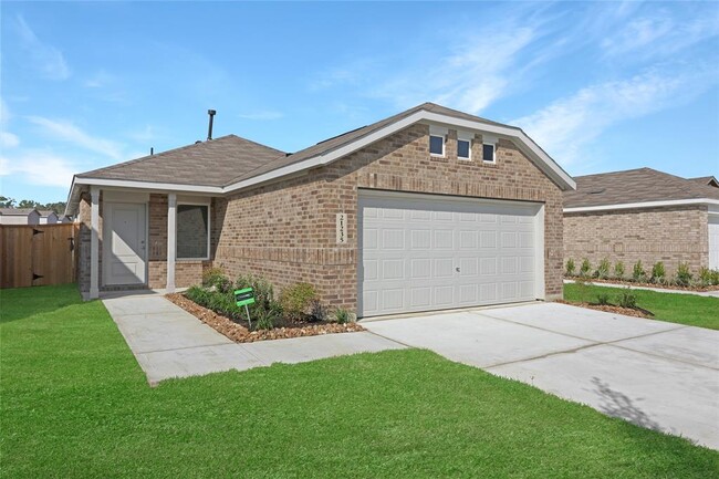 21235 Fieni Dr in New Caney, TX - Foto de edificio - Building Photo