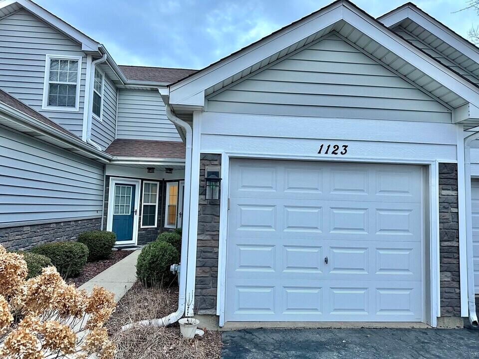 1123 Regency Ct in Schaumburg, IL - Building Photo