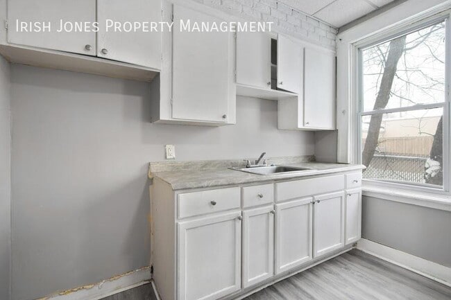 476 Niagara St in Buffalo, NY - Building Photo - Building Photo