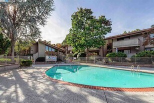 100 Kinross Dr in Walnut Creek, CA - Building Photo