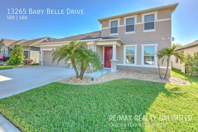 13265 Baby Belle Dr in Riverview, FL - Building Photo - Building Photo