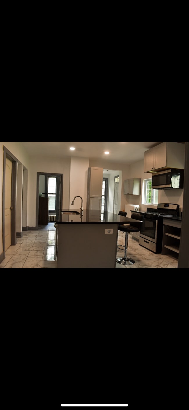 171 Chapin St, Unit 1 in Binghamton, NY - Building Photo - Building Photo