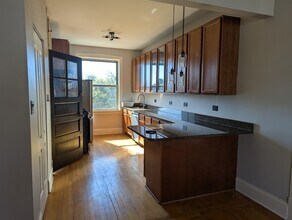 435 N Lombard Ave, Unit 1 in Oak Park, IL - Foto de edificio - Building Photo