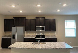 13811 Whiskey Daisy Dr in Dade City, FL - Building Photo - Building Photo