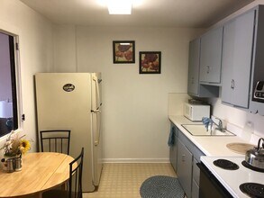 118 E Washington St, Unit 4 in Morris, IL - Building Photo - Building Photo