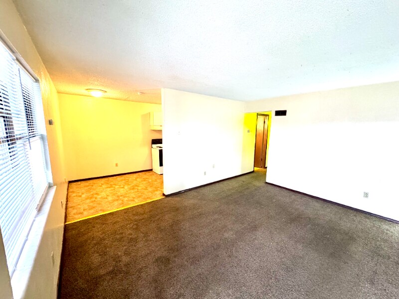 913 Joliet Dr in Sauget, IL - Building Photo