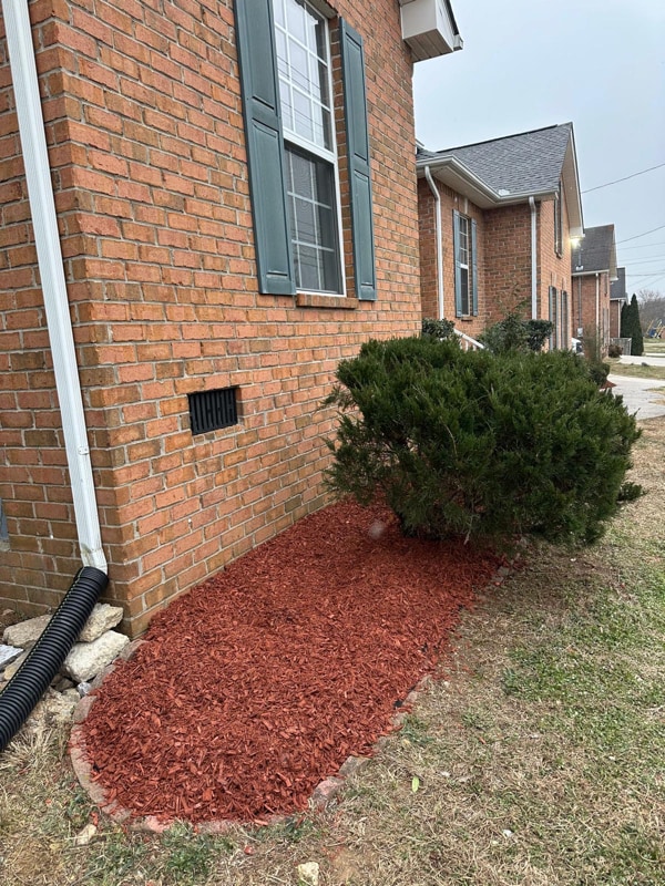 591 Blair Rd in Smyrna, TN - Building Photo - Building Photo