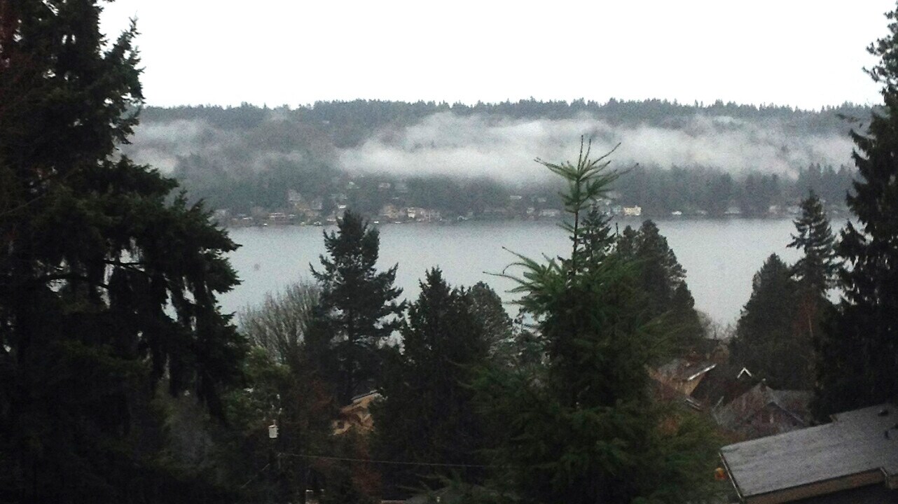 12346 Sand Point Way NE, Unit 3 bed 1 bath in Seattle, WA - Foto de edificio