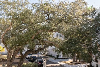 553 Cooper Village Ln in Mount Pleasant, SC - Building Photo - Building Photo