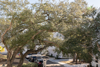 553 Cooper Village Ln in Mount Pleasant, SC - Foto de edificio - Building Photo