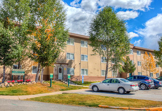 1561 Mt Lincoln Dr E-Unit -43 in Leadville, CO - Foto de edificio - Building Photo