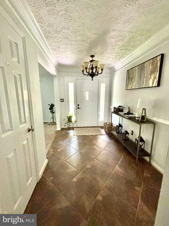 1007 Blackbeard Dr in Stafford, VA - Building Photo - Building Photo