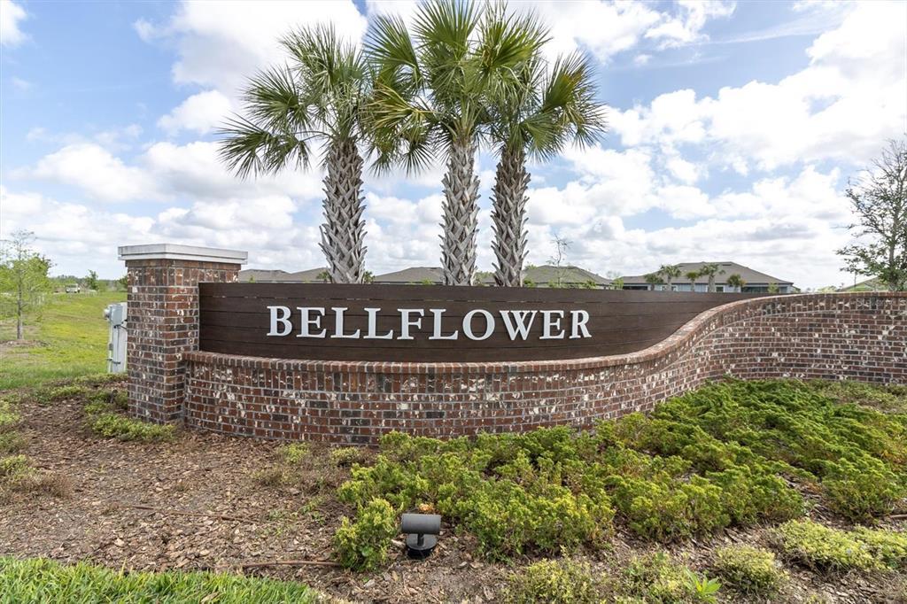 9967 Red Bay Lp in Land O Lakes, FL - Building Photo