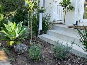 830 20th St in Santa Monica, CA - Foto de edificio - Building Photo