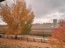 804 Summer Hawk Dr in Longmont, CO - Building Photo