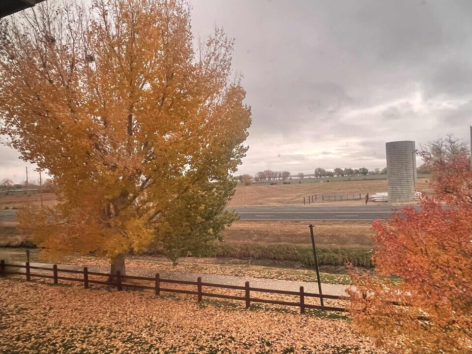 804 Summer Hawk Dr in Longmont, CO - Building Photo