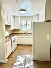 248 W Avenida Palizada in San Clemente, CA - Building Photo - Building Photo