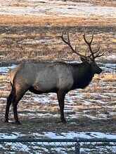 569 S Edinburgh Dr in Loveland, CO - Building Photo - Building Photo