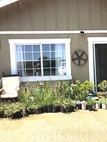 1117 Bel Marin Keys Blvd in Novato, CA - Building Photo