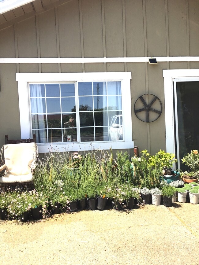 1117 Bel Marin Keys Blvd