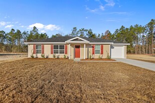 207 Pine Ridge Rd in Jesup, GA - Building Photo