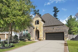 110 Lily Greene Ct in Conroe, TX - Building Photo