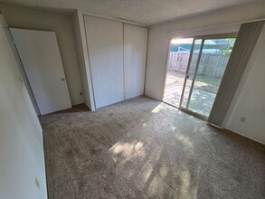 4479 Paola Way in San Diego, CA - Building Photo - Building Photo