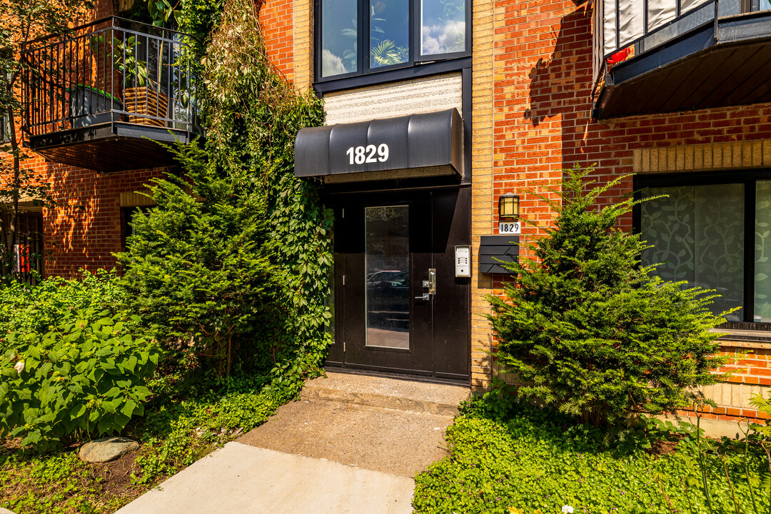 1829 Saint-Christophe Rue in Montréal, QC - Building Photo