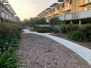 6207 Admiralty Ln in Foster City, CA - Building Photo - Building Photo