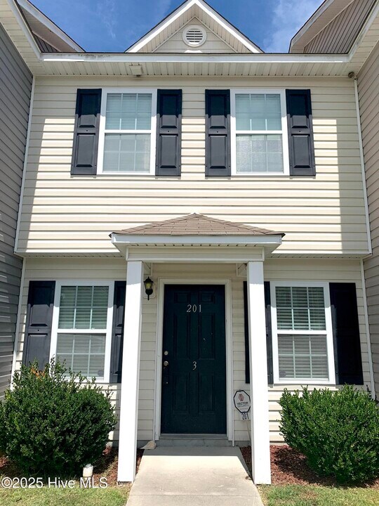 201 Lanieve Ct in Hubert, NC - Building Photo