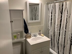 41 Park St, Unit 101 in Brookline, MA - Building Photo - Building Photo