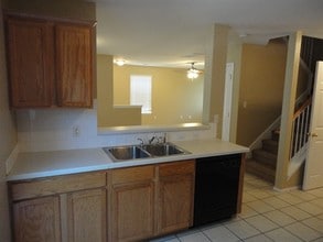 1237 Vincent Pl in Pflugerville, TX - Building Photo - Building Photo