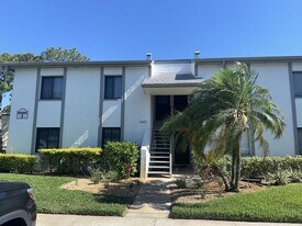 261 Cypress Ln in Oldsmar, FL - Building Photo
