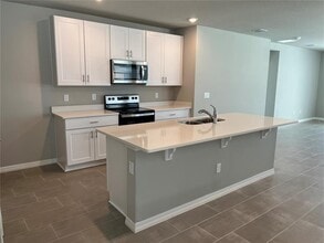 34823 Telluride Ln in Zephyrhills, FL - Building Photo - Building Photo